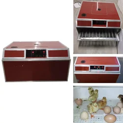 Automatic 100 Egg Incubator 150W with Digital Control